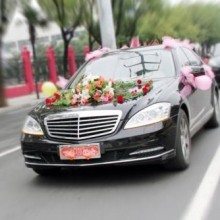 婚车租赁_姑苏区租车,姑苏区租车公司